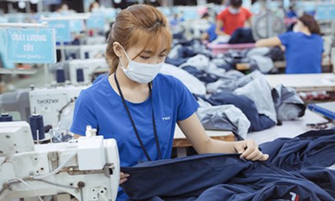 TNG muốn hủy kế hoạch chào bán cổ phiếu cho cổ đông