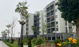 Giá thuê nhà xã hội ở Hà Nội cao nhất 198.000 đồng/m2