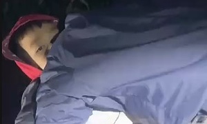 Bé trai ngủ quên trên cây, hơn 100 người suốt đêm tìm kiếm