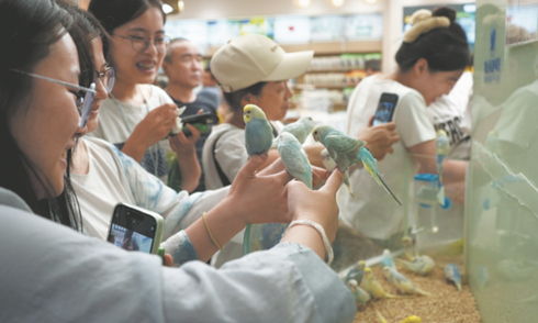 Gen Z Trung Quốc 'chữa lành' bằng video ngắn