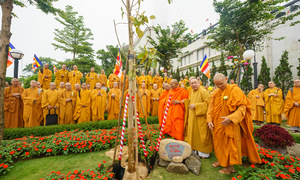 Vesak 2025 tổ chức loạt nghi lễ trên núi Bà Đen