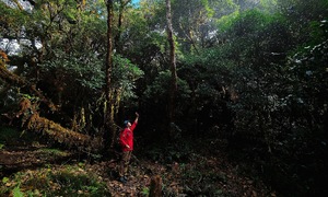 5 cung trekking 'tránh đám đông' dịp 30/4
