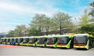 17 bus điện VinFast vận hành tuyến số 34