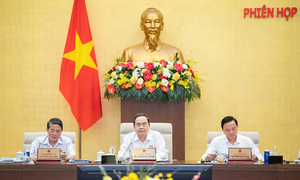 Chỉ định chủ tịch tỉnh thành sau khi sáp nhập