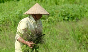 Đầu tuần tới ba miền đều nắng nóng