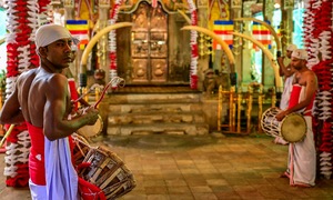 Sri Lanka điều tra nghi vấn xá lợi răng Phật bị chụp lén