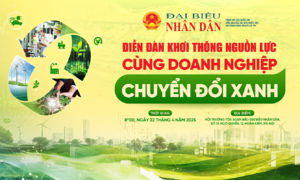 Diễn đàn đồng hành cùng doanh nghiệp chuyển đổi xanh