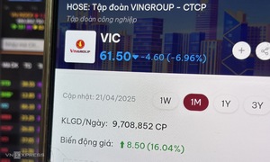 Cổ phiếu Vingroup nằm sàn