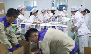 Kiểm tra cơ sở sản xuất, kinh doanh sữa và thực phẩm tại TP HCM