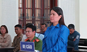 Giả luật sư lừa gần 7 tỷ đồng