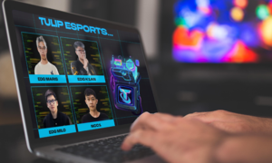 4 tuyển thủ Việt giành suất tham dự Esports World Cup 2025