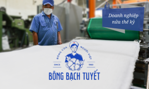 Bông Bạch Tuyết và hành trình hồi sinh ngoạn mục của doanh nghiệp 65 tuổi