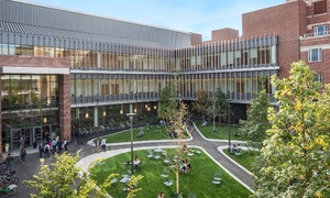 Giảng viên Harvard tự nguyện giảm lương