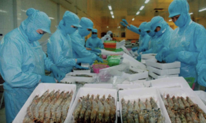 Trung Quốc vượt Mỹ dẫn đầu về nhập thủy sản Việt Nam