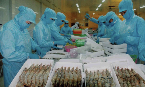 Trung Quốc vượt Mỹ dẫn đầu về nhập thủy sản Việt Nam