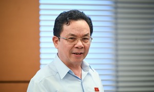 'Xử lý kinh tế thay vì hình sự không phải nương nhẹ cho doanh nghiệp tư nhân'