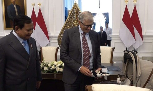 Bill Gates tặng cá voi nhồi bông cho mèo của Tổng thống Indonesia