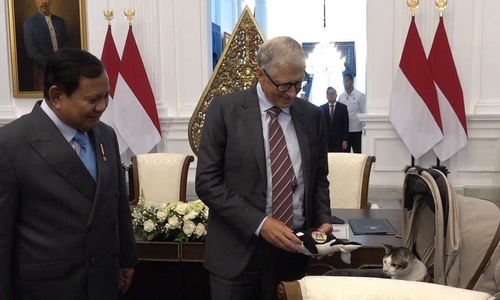 Bill Gates tặng cá voi nhồi bông cho mèo của Tổng thống Indonesia