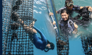 Tour lặn biển, xem ngọc trai tự nhiên tại Nha Trang