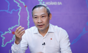 'Nghị quyết 68 hướng tới xử lý cá nhân, tránh ảnh hưởng doanh nghiệp'