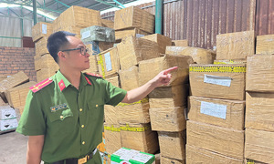 Nhập lậu 'thuốc nhúng chín sầu riêng', 2 người bị khởi tố