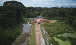 Chủ nhà COP30 bị chỉ trích vì phá rừng ở nơi tổ chức hội nghị khí hậu