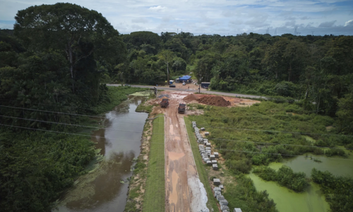 Chủ nhà COP30 bị chỉ trích vì phá rừng ở nơi tổ chức hội nghị khí hậu