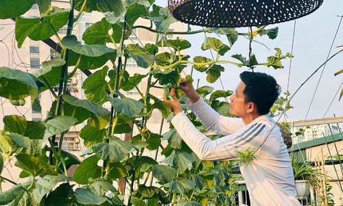 Chàng trai biến 200 m2 sân thượng thành vườn rau, ao cá