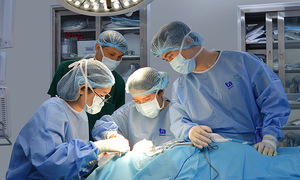 Thủng màng nhĩ có gây điếc không?