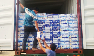 Cán bộ hải quan tiếp tay buôn lậu 4.000 thùng sữa từ Mỹ về Việt Nam