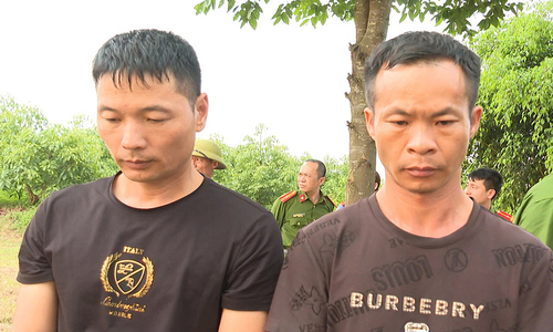 Hai người Trung Quốc đào trộm mộ cổ vua nhà Hậu Lê bị khởi tố