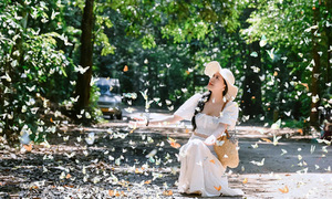 Lịch trình tham quan Cúc Phương mùa bướm và đom đóm