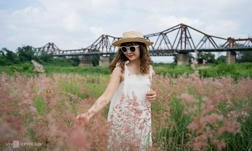 Bãi cỏ hồng hút khách dưới chân cầu Long Biên