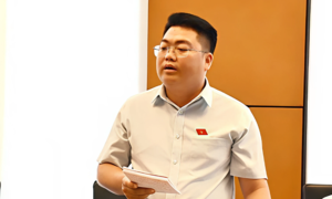 'Sản xuất thuốc giả, sữa giả không khác gì cố ý giết người'