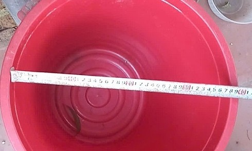 Ngã vào xô nước thải điều hòa, bé gái suýt mất mạng