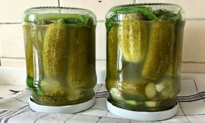 Người Ba Lan mê dưa chuột Nga