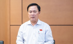 Đại biểu Quốc hội: Cần sớm đánh thuế đất hoang hóa