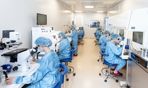 Từ Mỹ về Việt Nam thụ tinh ống nghiệm