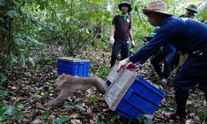 UNDP: 'Khu vực tư nhân đóng vai trò quan trọng trong phát triển bền vững'