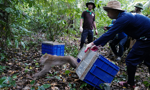 UNDP: 'Khu vực tư nhân đóng vai trò quan trọng trong phát triển bền vững'