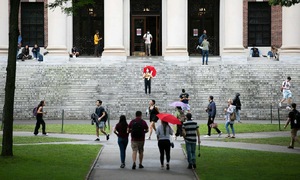 Du học sinh Việt rối bời vì lệnh cấm Harvard tuyển sinh quốc tế