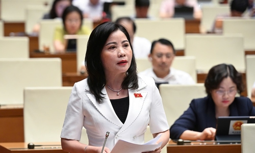 Đại biểu Quốc hội: 'Cơ quan quản lý ở đâu để cả chợ bán hàng giả'