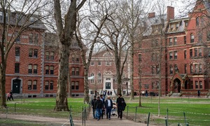 Trung Quốc chỉ trích Mỹ vì cấm Harvard tuyển sinh viên quốc tế