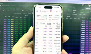 Cổ phiếu ngành dệt may đồng loạt tăng trần