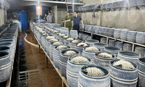 Hai cơ sở dùng hóa chất độc hại sản xuất hàng trăm tấn giá đỗ
