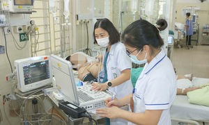 Sốt xuất huyết tấn công cơ thể thế nào