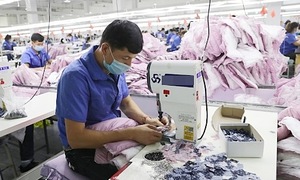 Chưa đủ tuổi nghỉ hưu song đóng BHXH 23 năm thì có được rút một lần?