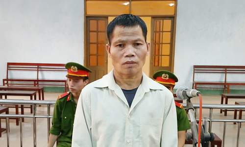 Kẻ hãm hại con riêng của vợ bị phạt 13 năm tù