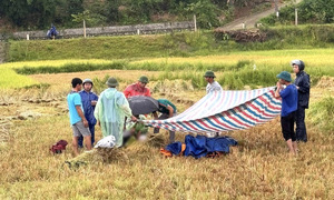 Ba người Hà Tĩnh chết vì sét trong 10 ngày