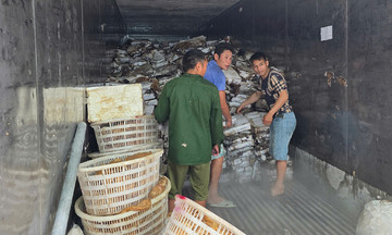 Quảng Ninh thu giữ hơn 25 tấn mực, chân gà bốc mùi tại kho lạnh